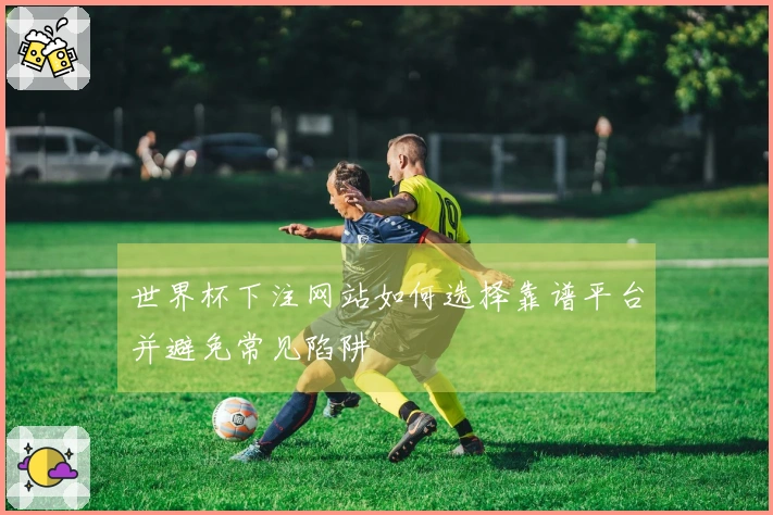 世界杯下注网站如何选择靠谱平台并避免常见陷阱