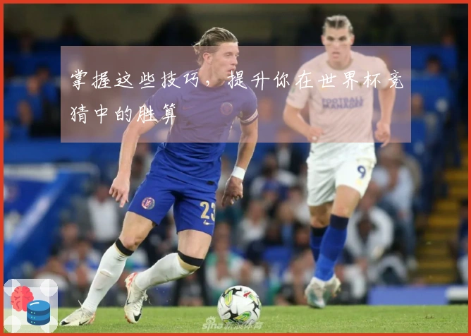 掌握这些技巧，提升你在世界杯竞猜中的胜算