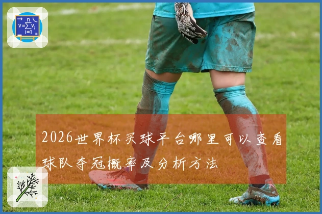 2026世界杯买球平台哪里可以查看球队夺冠概率及分析方法