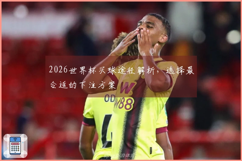2026世界杯买球途径解析，选择最合适的下注方案