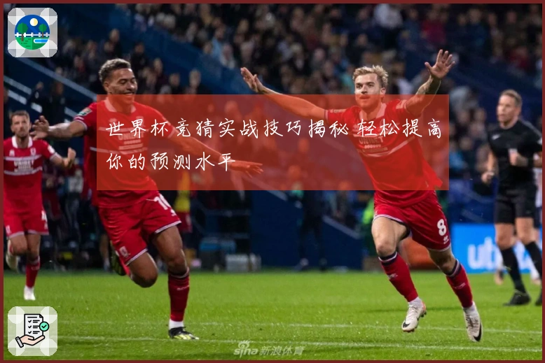 世界杯竞猜实战技巧揭秘 轻松提高你的预测水平