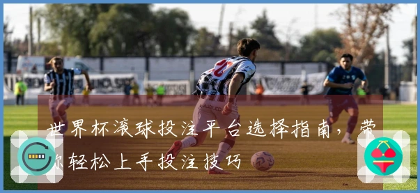 世界杯滚球投注平台选择指南，带你轻松上手投注技巧