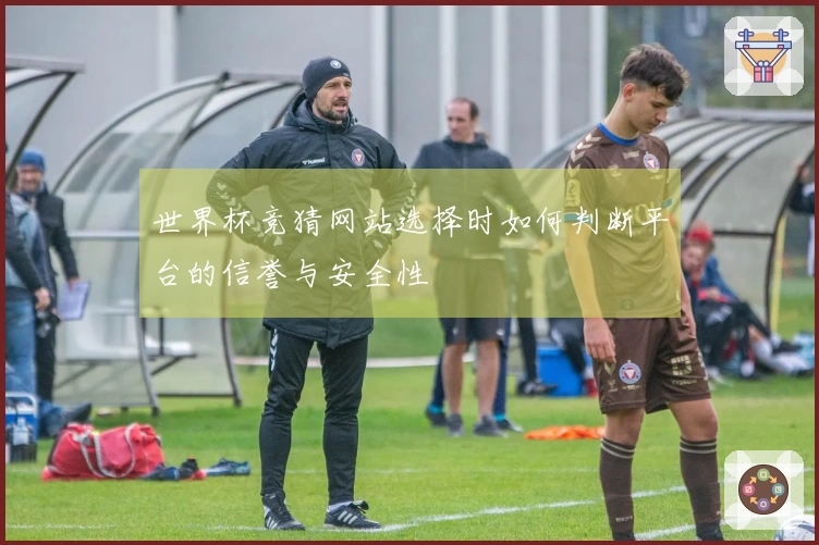 世界杯竞猜网站选择时如何判断平台的信誉与安全性