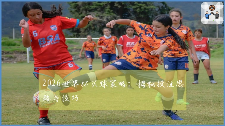 2026世界杯买球策略：揭秘投注思路与技巧
