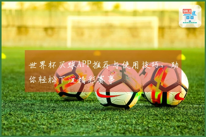 世界杯买球APP推荐与使用技巧，助你轻松下注精彩赛事