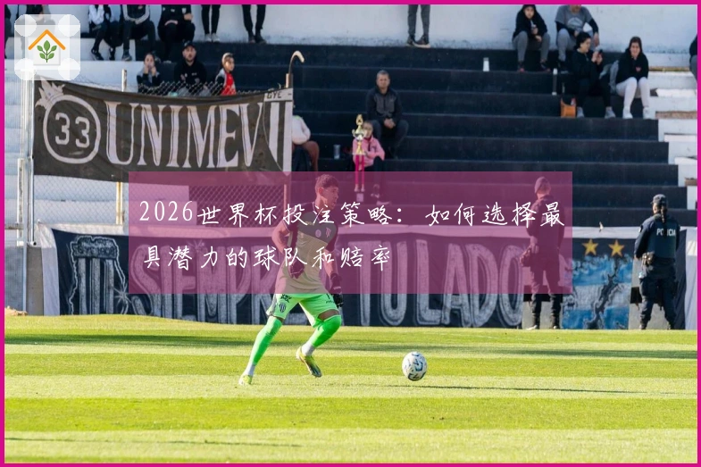 2026世界杯投注策略：如何选择最具潜力的球队和赔率