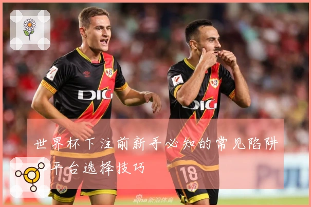 世界杯下注前新手必知的常见陷阱和平台选择技巧